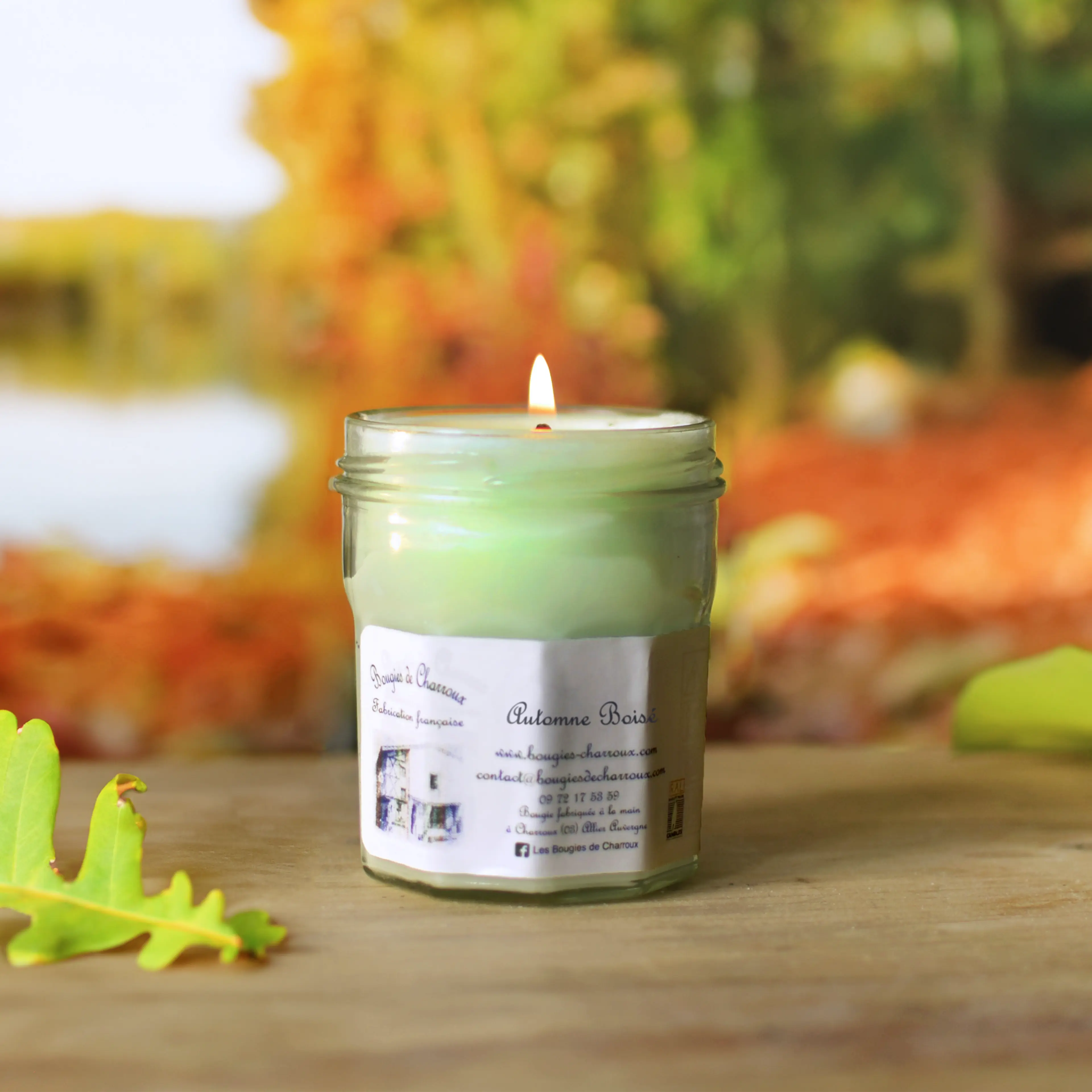 Automne Boisé - Image 4