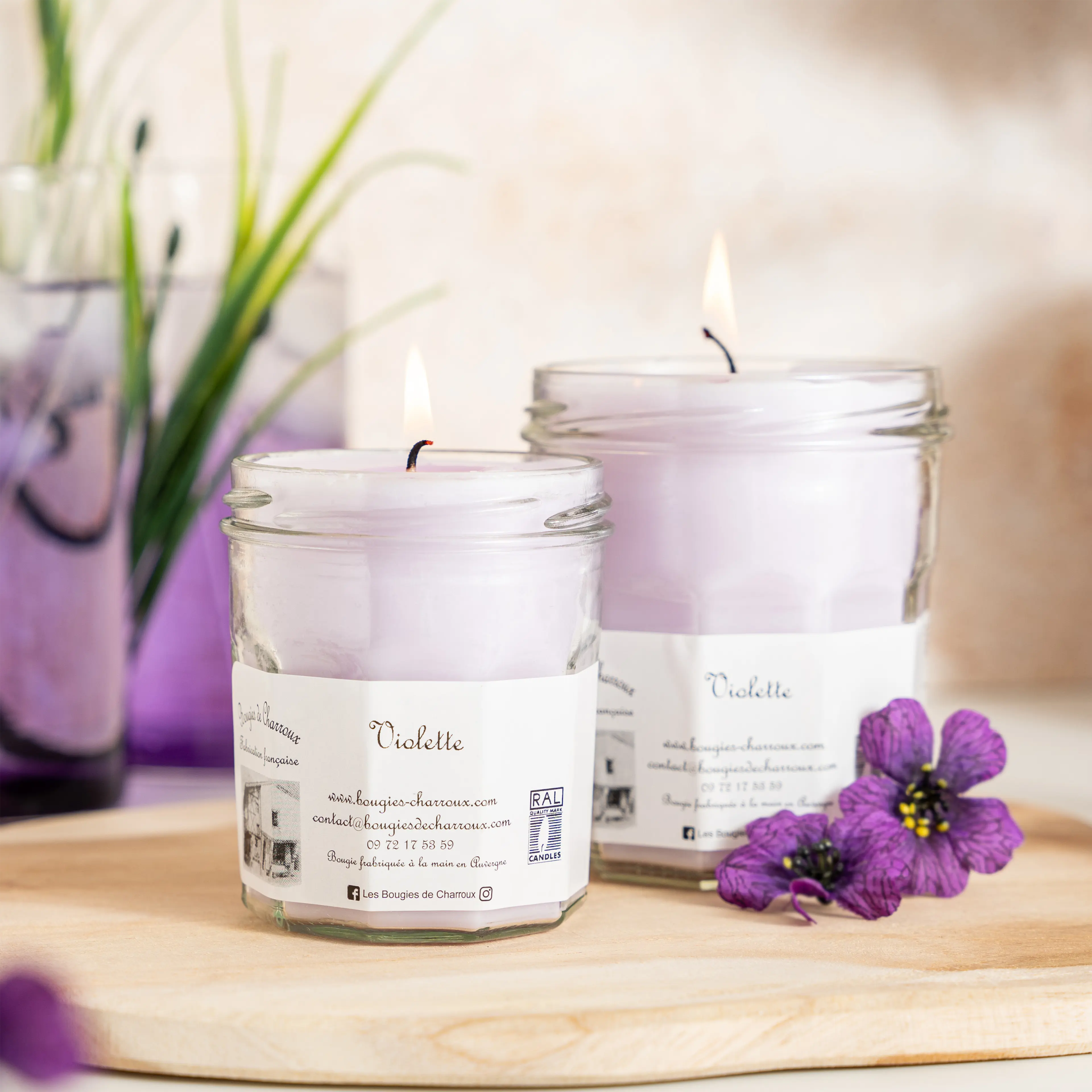 Violette - Image 4