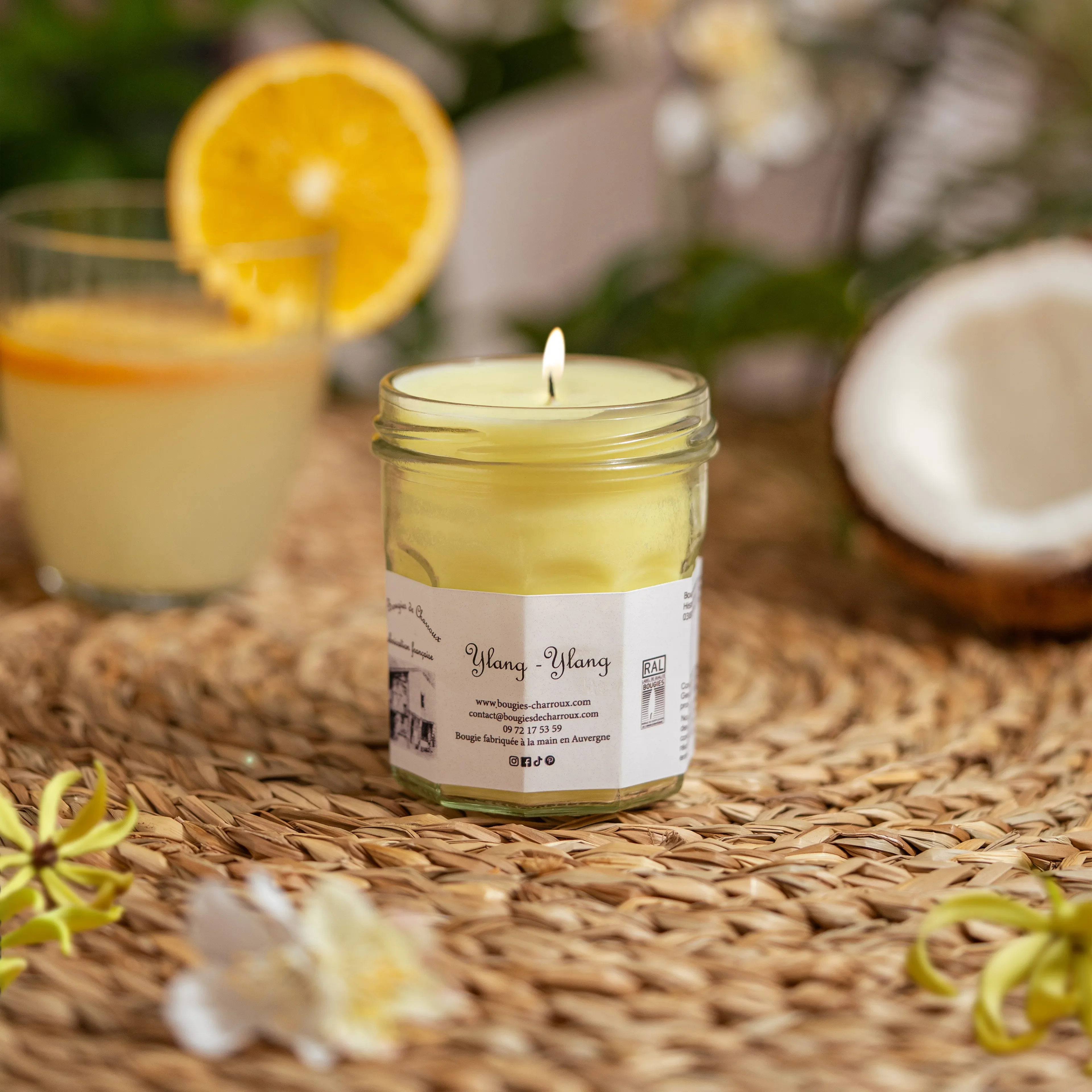 Ylang-Ylang - Image 4