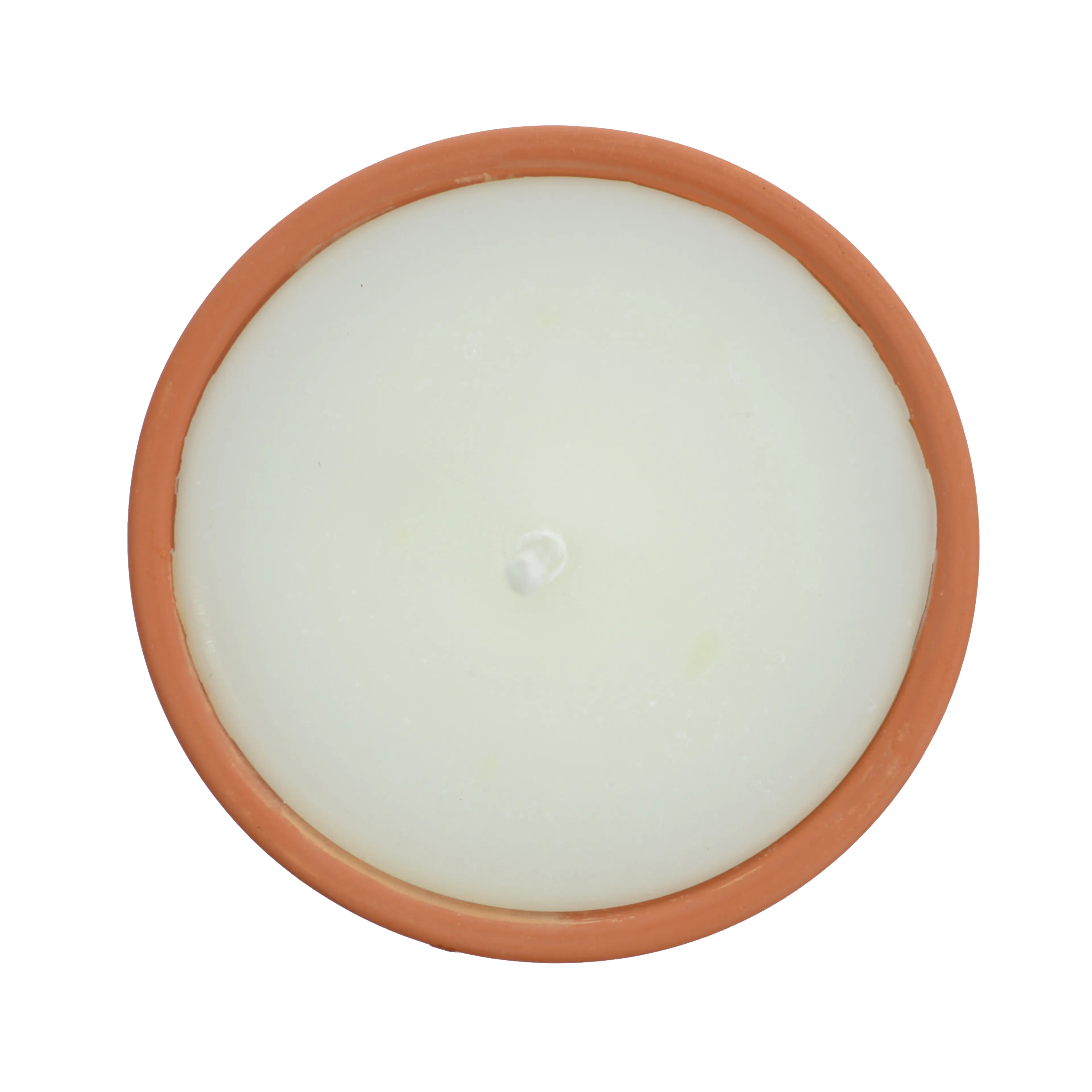 Citronnelle extérieure Blanche - Image 3