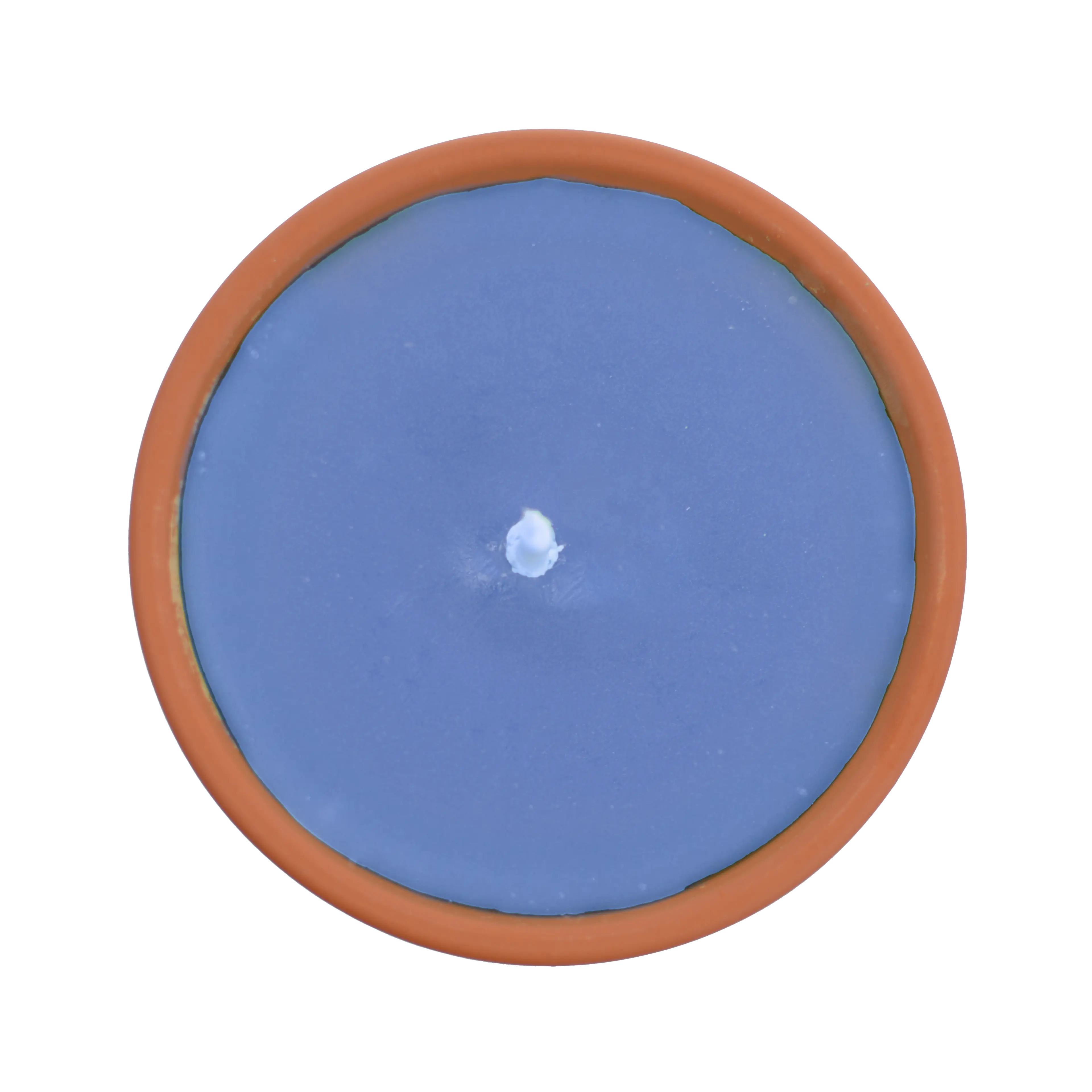 Citronnelle extérieure Bleue - Image 3
