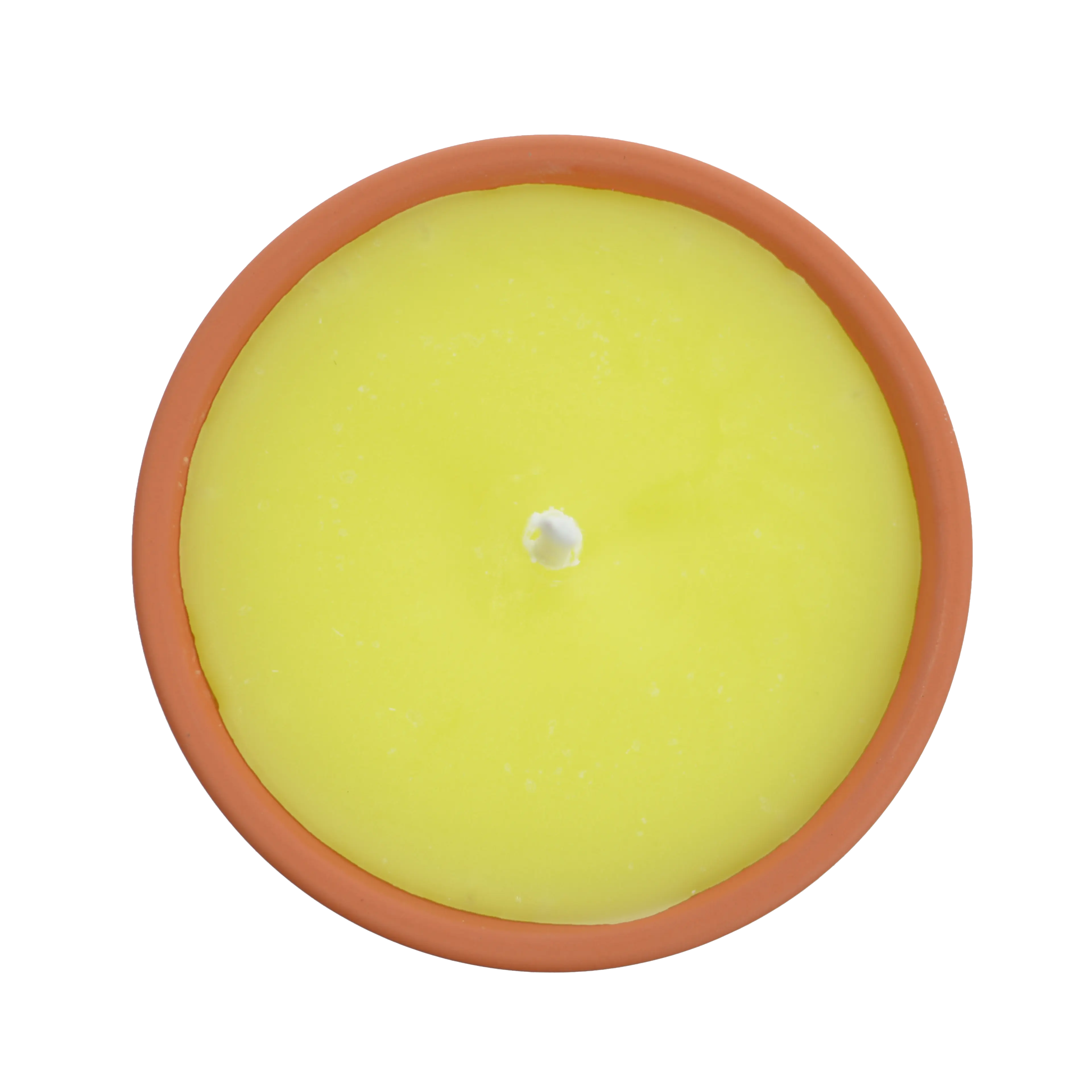 Citronnelle extérieure Jaune - Image 3