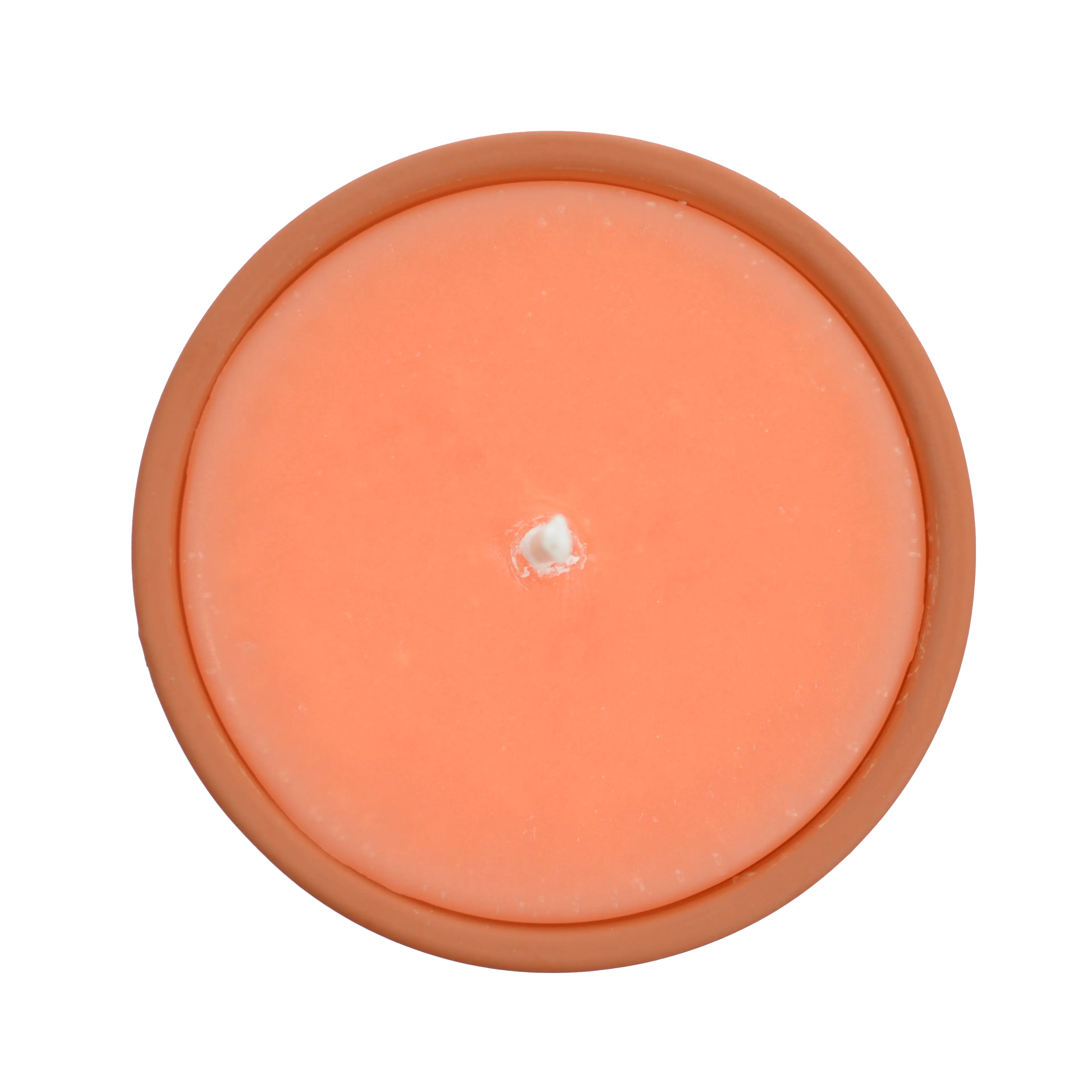 Citronnelle extérieure Orange - Image 3