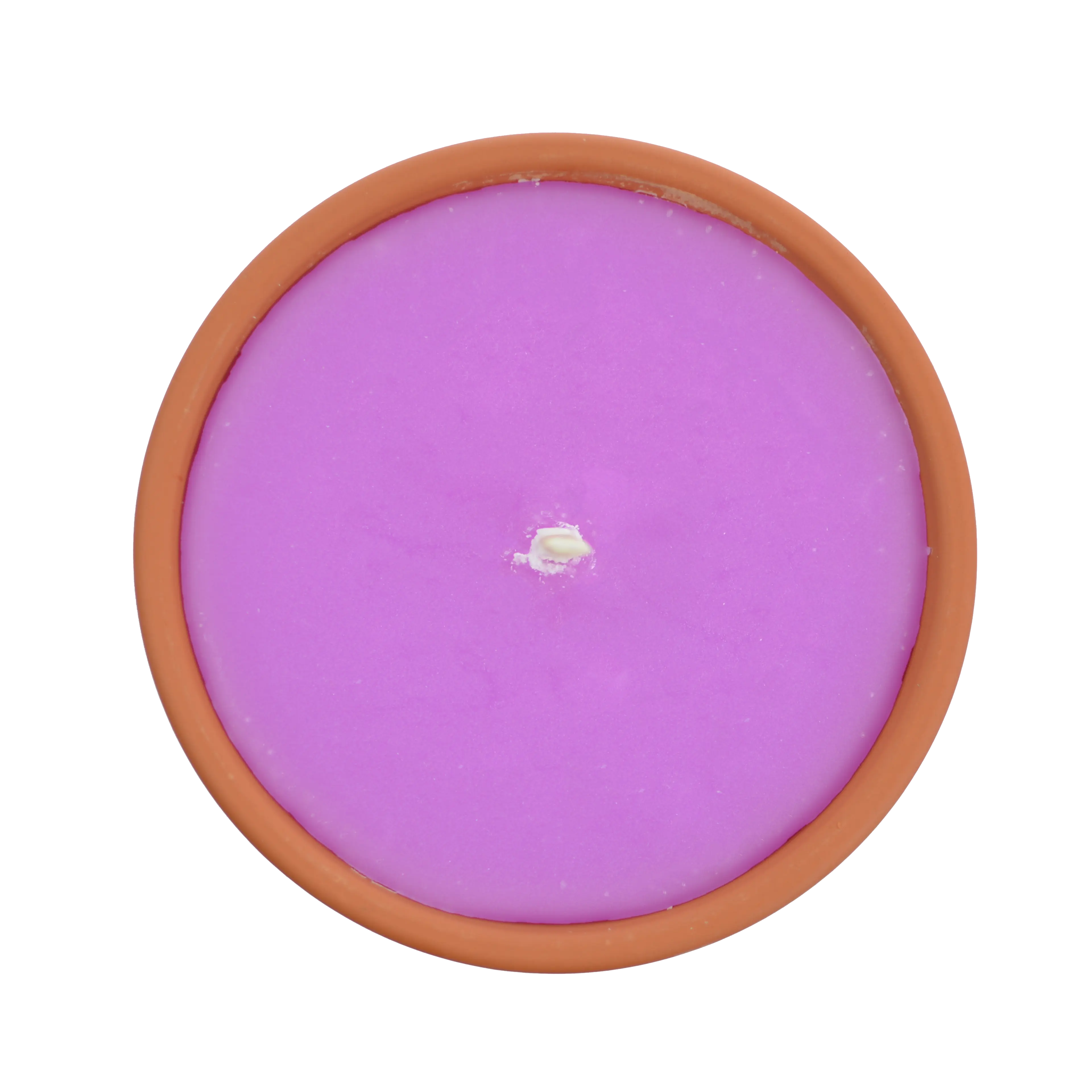 Citronnelle extérieure Rose - Image 3
