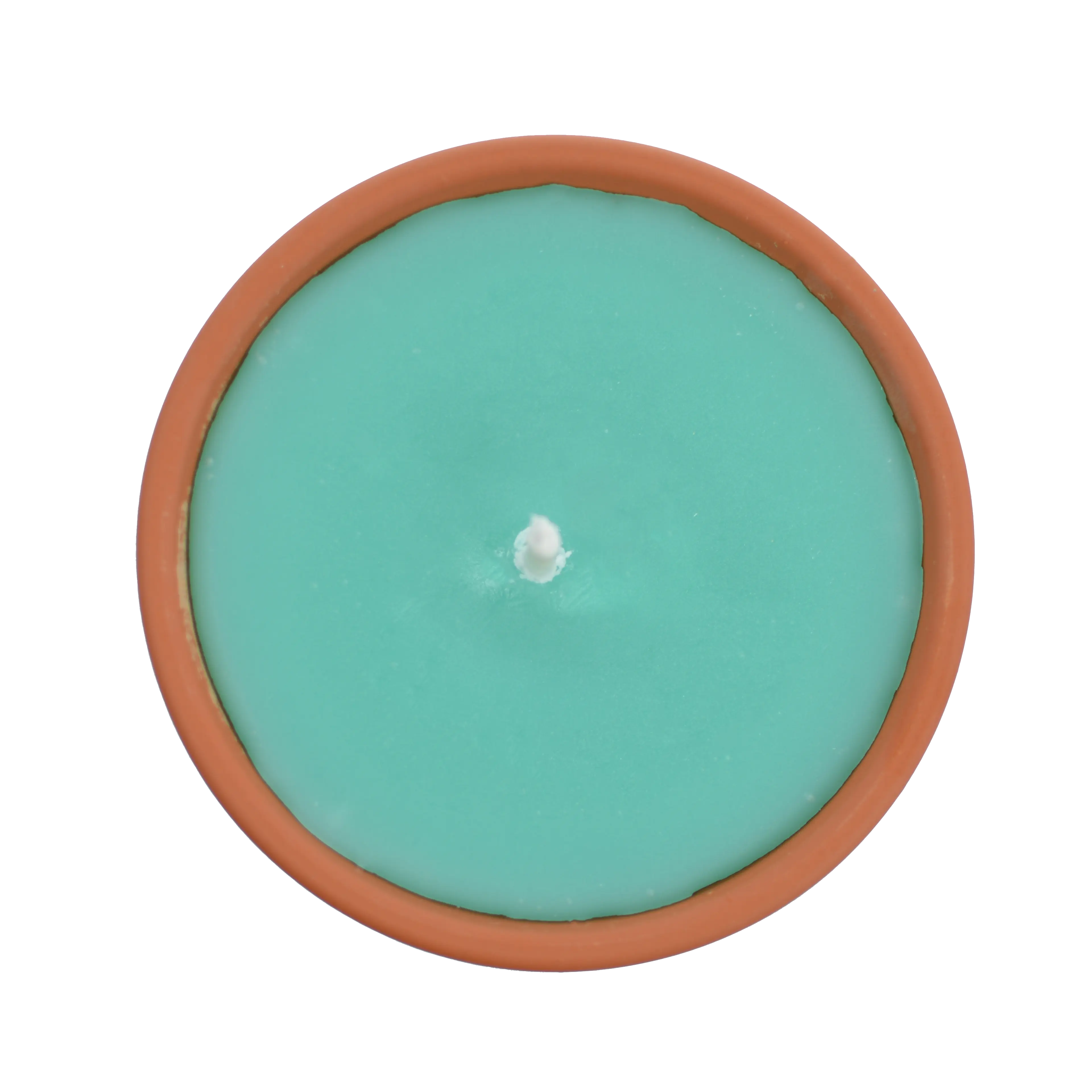 Citronnelle extérieure Verte - Image 3