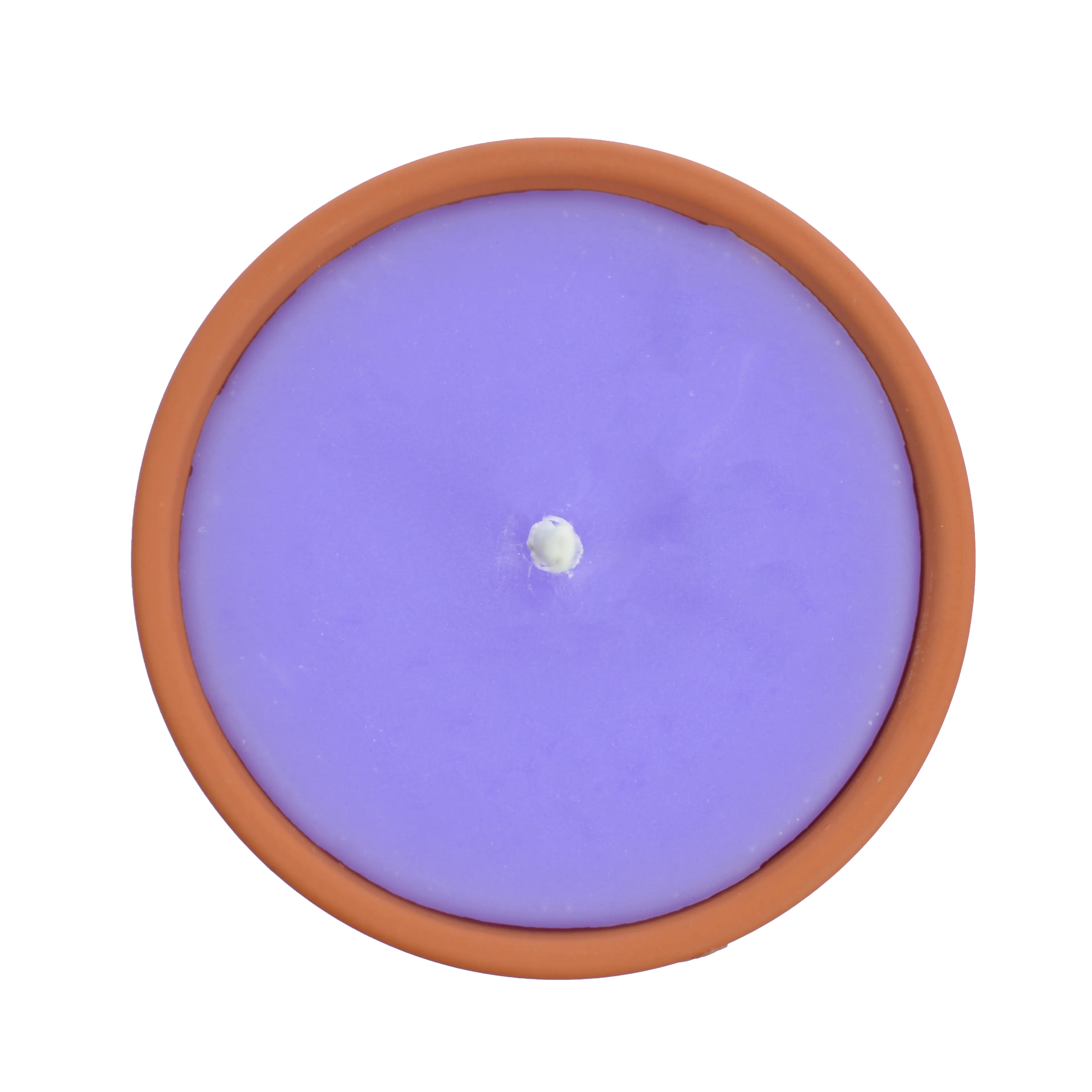 Citronnelle extérieure Violette - Image 3